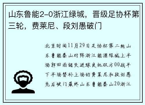 山东鲁能2-0浙江绿城，晋级足协杯第三轮，费莱尼、段刘愚破门